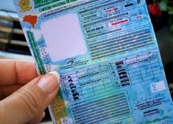 CNH GRÁTIS: descubra quem tem direito e como emitir a sua