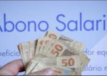 Abono Salarial PIS/PASEP.