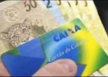 ABONO SALARIAL PIS/PASEP