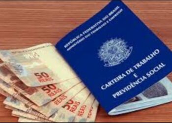 ABONO SALARIAL PIS/PASEP