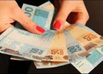 Novo SALÁRIO MÍNIMO 2024 ocasiona mudanças nas CONTRIBUIÇÕES AO INSS