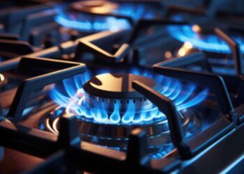 Recebendo o Auxílio Gás Morando Sozinho?É possível?