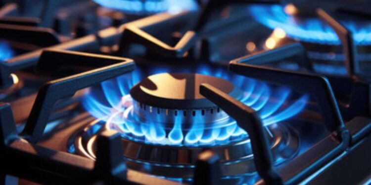 Recebendo o Auxílio Gás Morando Sozinho?É possível?