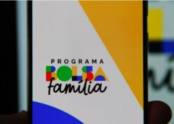 Bolsa Família 2024: Estratégias para Evitar Contratempos com a Malha Fina Governamental