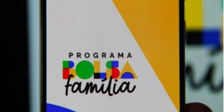 Bolsa Família 2024: Estratégias para Evitar Contratempos com a Malha Fina Governamental