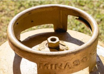 Calendário de Pagamento do Bolsa Família: Antecipação de R$677,88 e Benefício Auxílio Gás!