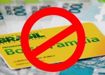 Bolsa Família 2024: Irregularidades no CPF e Cadúnico podem BLOQUEAR pagamentos a partir de Janeiro