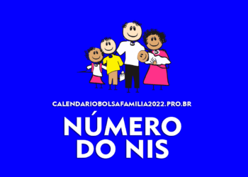 NIS: O que é, para que serve e como consultar?