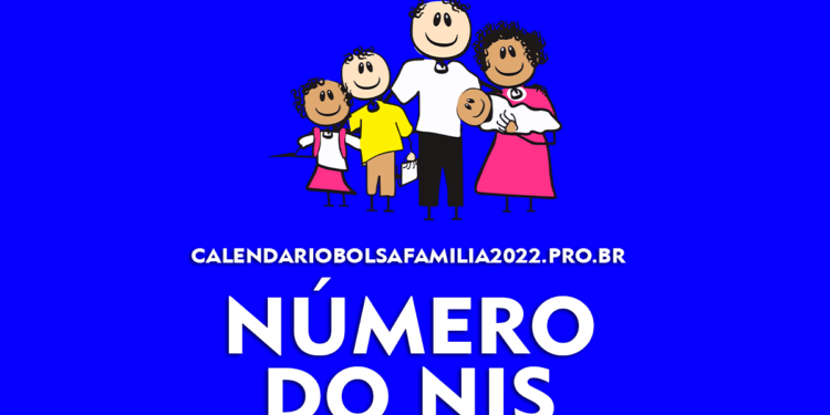 NIS: O que é, para que serve e como consultar?