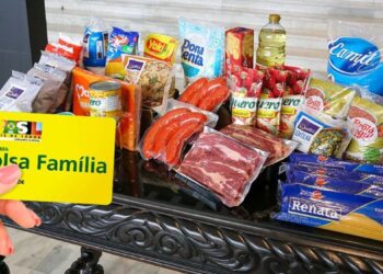 Ainda não recebe a Cesta Básica do BOLSA FAMÍLIA 2024? Solicite a sua AGORA MESMO (09/01)