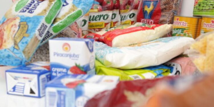 Distribuição de Cestas Básicas pelo Bolsa Família em Janeiro: Saiba como fazer a solicitação