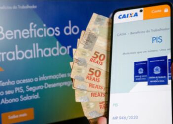 Consultar o Número do PIS Utilizando o seu CPF? Saiba como