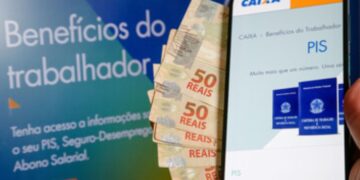 Consultar o Número do PIS Utilizando o seu CPF? Saiba como