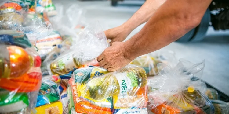 Cesta básica DISPONÍVEL para titulares do Bolsa Família; veja como ter acesso