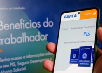 Receba Seu Abono do PIS/PASEP 2024: Confira Como Acessar pelo Caixa Tem!