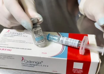 Os beneficiários do Bolsa Família receberão prioridade na vacinação contra a dengue? Confira aqui