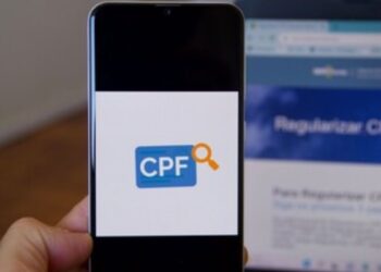 Descubra seu Abono Salarial do PIS/Pasep com o seu CPF de maneira prática!