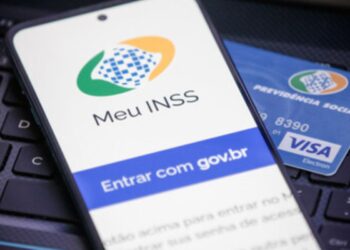 Passo a Passo: Como Solicitar e Consultar o Benefício BPC pelo INSS