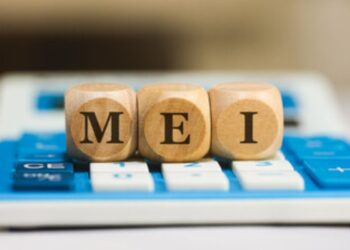 Tornar-se MEI: Possível para Funcionários Públicos? Descubra!