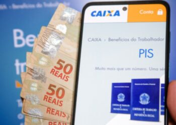 PIS/PASEP não habilitado? Entenda a mensagem