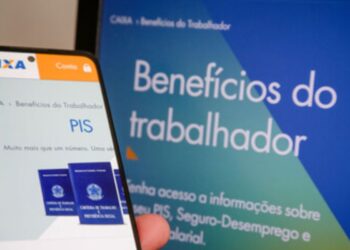 Consulta Liberada: PIS/PASEP 2024