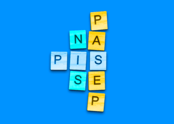 Veja como encontrar o seu número do NIS com o CPF: Passo a Passo