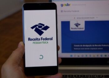 Lote Residual do IRPF: Como Funciona e Como Acessar o Valor?