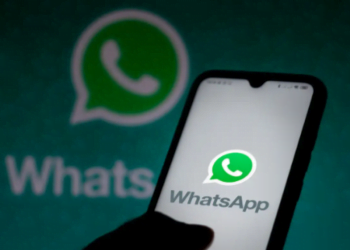 Qual o número do WhatsApp do Bolsa Família? Descubra agora!