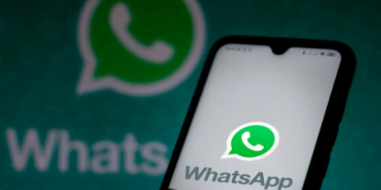 Qual o número do WhatsApp do Bolsa Família? Descubra agora!