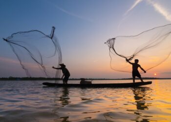 Seguro-Desemprego para PESCADORES foi aprovado; entenda