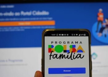 Veja como consultar o Bolsa Família no Portal Cidadão da CAIXA