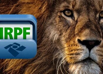 Mais de 5 MILHÕES de pessoas já entregaram a declaração do IRPF 2024! Veja como fazer e não perca o prazo!