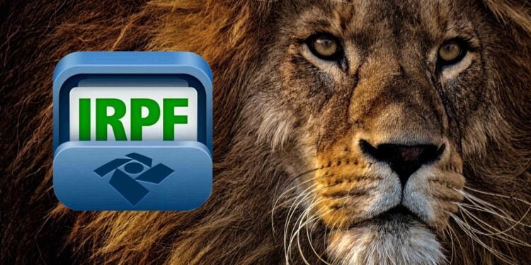 Imposto de Renda: Veja quem NÃO precisa declarar em 2024