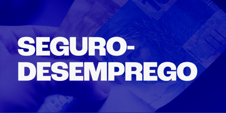 Seguro-Desemprego: Direitos, Valores em 2024 e Mais