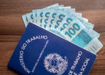 Contribuinte Individual do INSS: O que é e como funciona?