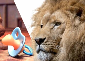 Quem recebe PENSÃO ALIMENTÍCIA tem direito a restituição do Imposto de Renda? Descubra aqui!