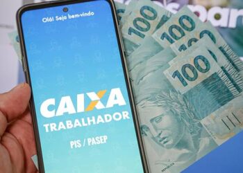 Espelho do PIS: Entenda o que é e como consultar