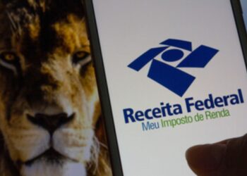 Imposto de Renda 2024: Calendário com Prazos Importantes