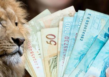 Confira a lista COMPLETA de doenças que garantem ISENÇÃO no Imposto de Renda 2024