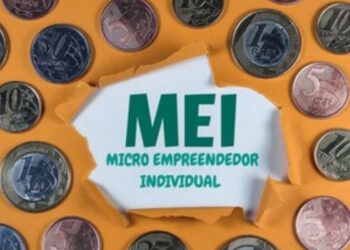 MEI em 2024: O que Esperar da a Implementação do PLP 108/21?