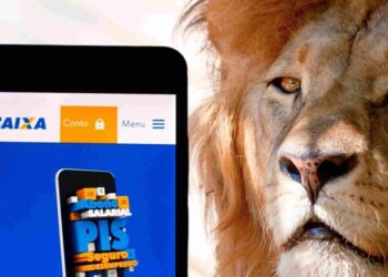 ATENÇÃO: Declaração ERRADA de Pis/Pasep pode cair na malha fina! Veja como evitar