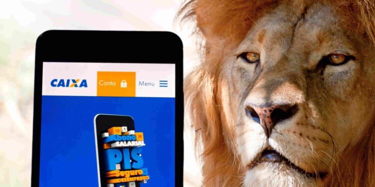 ATENÇÃO: Declaração ERRADA de Pis/Pasep pode cair na malha fina! Veja como evitar
