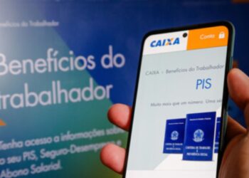 Descubra Agora se Você Possui Inscrição no PIS/PASEP