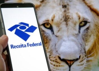 Imposto de Renda: Restituição liberada para mais de 200 mil idosos