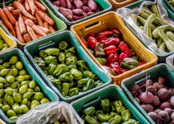 Alimentos Bolsa Família