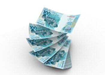 Brasileiros que recebem BPC fazem festa com liberação do RETROATIVO 2024 de até R$ 5.753,94; Saiba AQUI como garantir