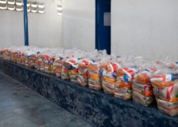 Você tem direito à CESTA BÁSICA mensal do Bolsa Família? Saiba AQUI