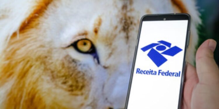 Imposto de Renda: Restituição Liberada Antes do Prazo? Entenda