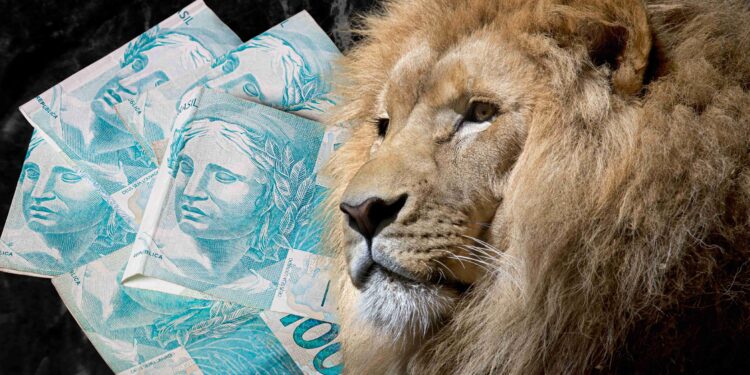 ÚLTIMAS HORAS: Veja como declarar o Imposto de Renda de forma RÁPIDA e não perder o prazo