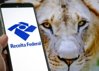 Imposto de Renda 2024: Restituição cai na conta dos contribuintes com novo valor surpreendente!